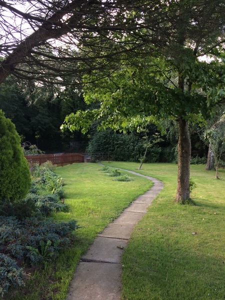 What should I plant here?