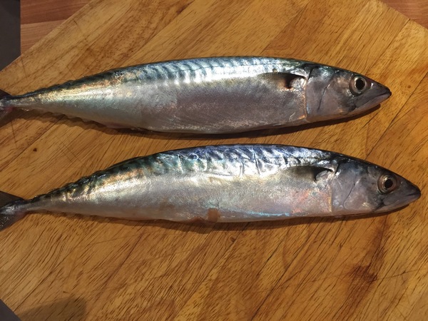 The Friendly Frugaleers, watching the pennies as we wait for sunshine!