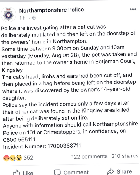 To think that somebody must know the sick evil **** who has been killing people's cats