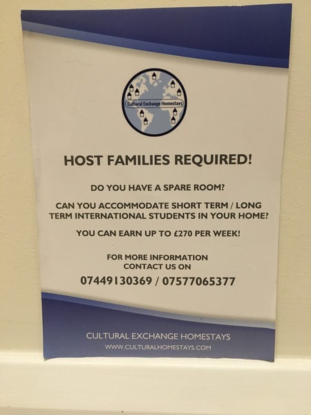 host families