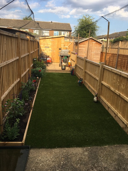 neighbour scaring cat off from her garden