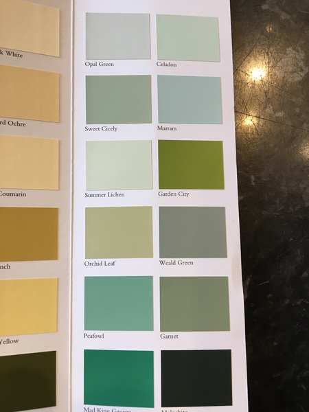 Please help me find a lovely sage green for my lounge!