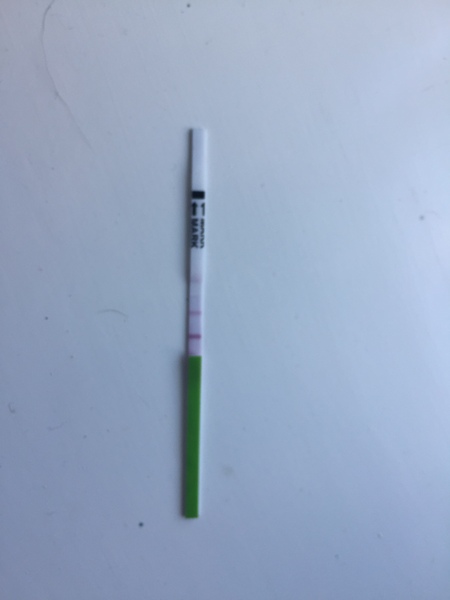 How the chuff do you use OPKs?!