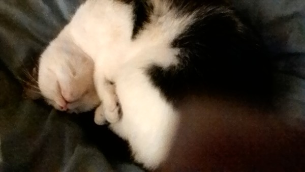 Cute pic alert