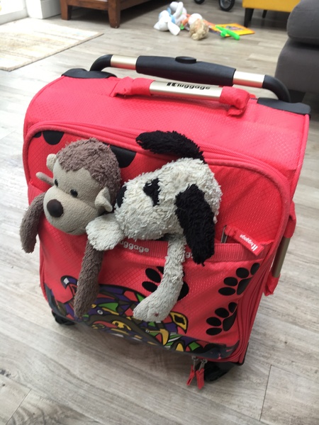 Lost jellycat dog glasgow