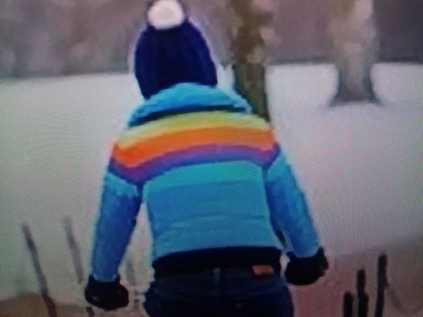 Kate's coat in superfoods