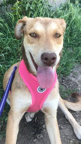 Home check tomorrow