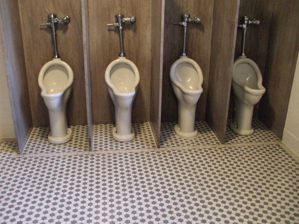 ...to start a campaign for more women's toilets?