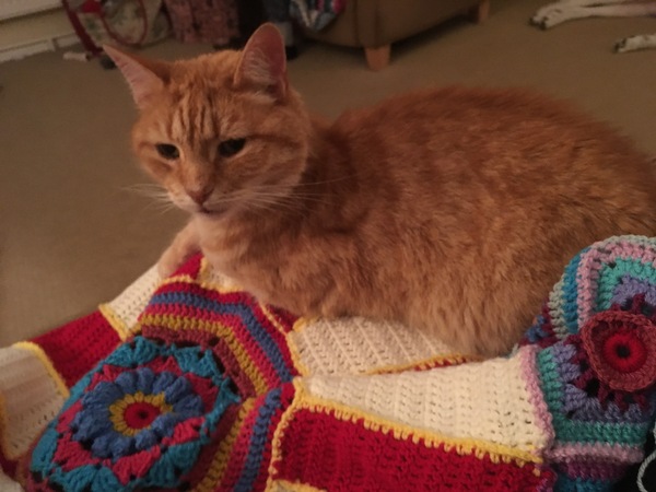 Pre-summer Bootcamp - our last weigh-in!