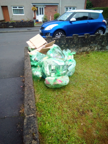 The bin men