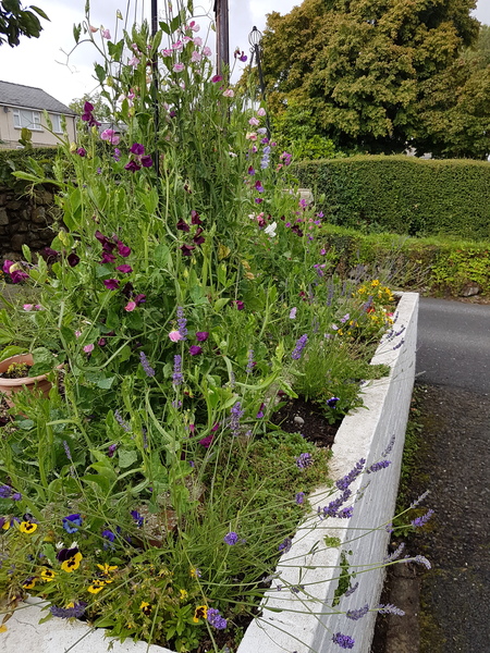 Find out how MNers are getting on with their Homebase Garden Goals challenge NOW CLOSED