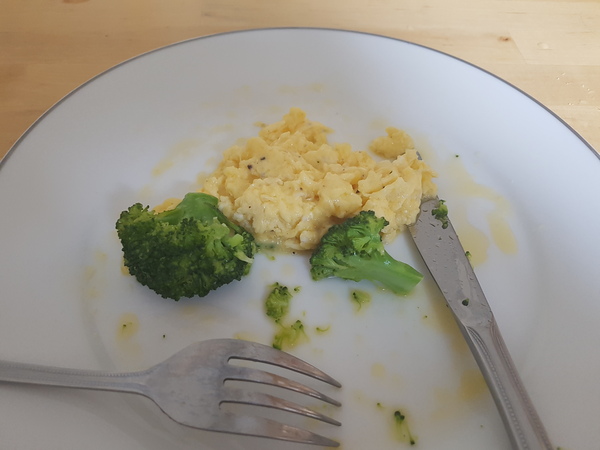 Between bootcamps support thread Summer17