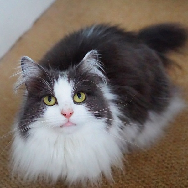 Going to meet our potential new baby tomorrow!!! Eeeekkkk!!!
