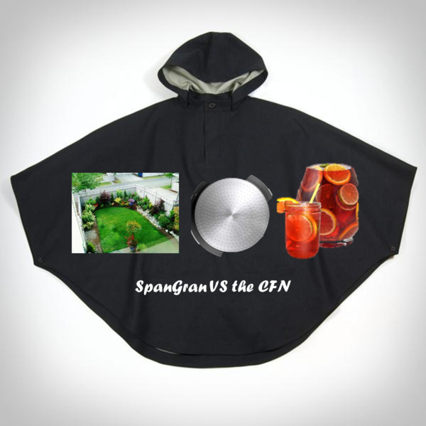 CFN SpanGran has landed thread #8