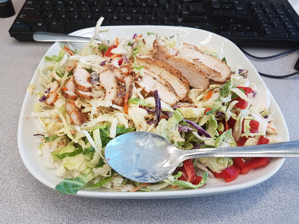 Between bootcamps support thread Summer17