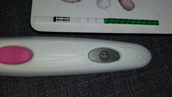 How the chuff do you use OPKs?!