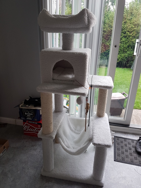 Cat trees/activity centres. Are they worth it?