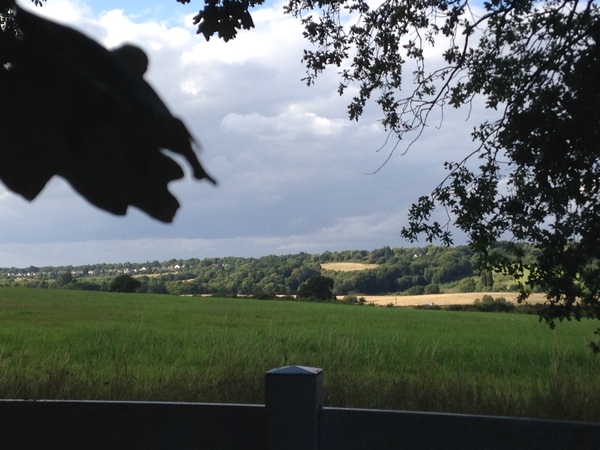 Photos taken on your cycle.