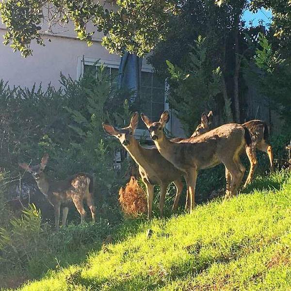 Selling in Silicon Valley - Want to come along for the wild ride?