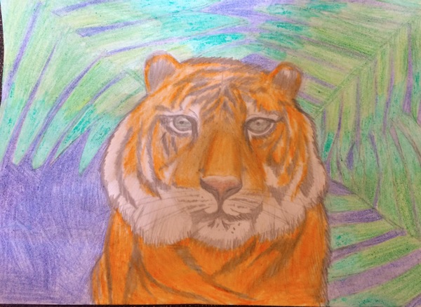 Child aged 5-11 who loves drawing? Enter the BIC® competition