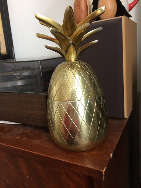 AIBUto ask to see your stunt pineapple?