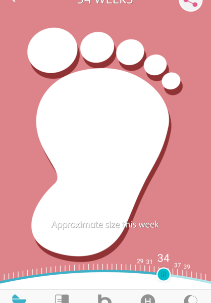 Best pregnancy app