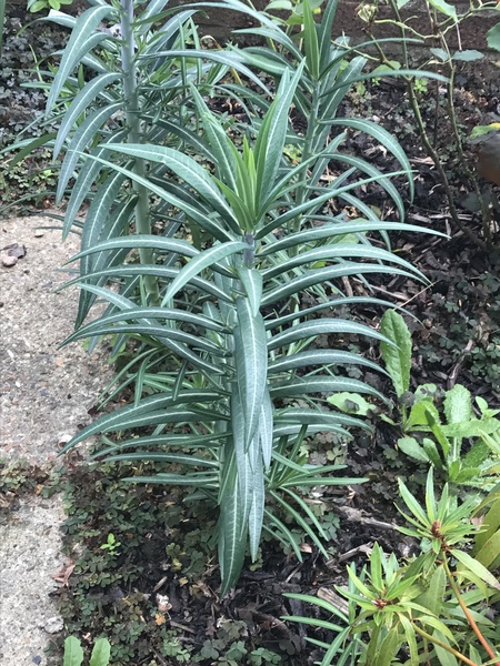 Can anyone identify?