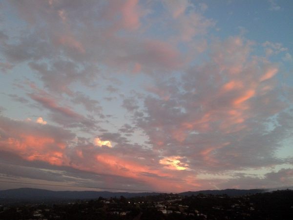 Selling in Silicon Valley - Want to come along for the wild ride?