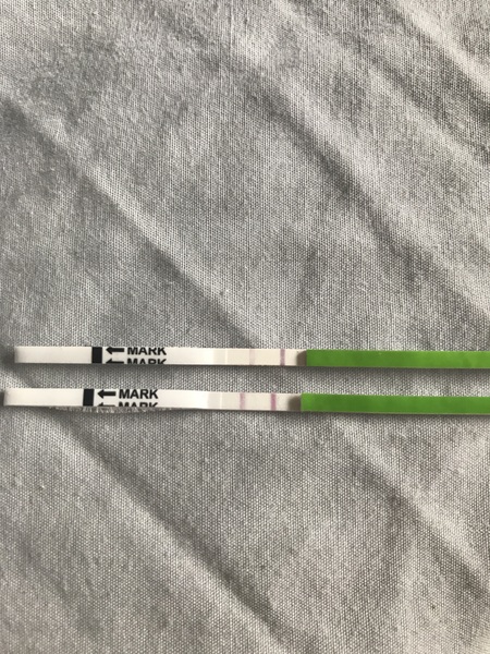 Closest OPK I've ever had!