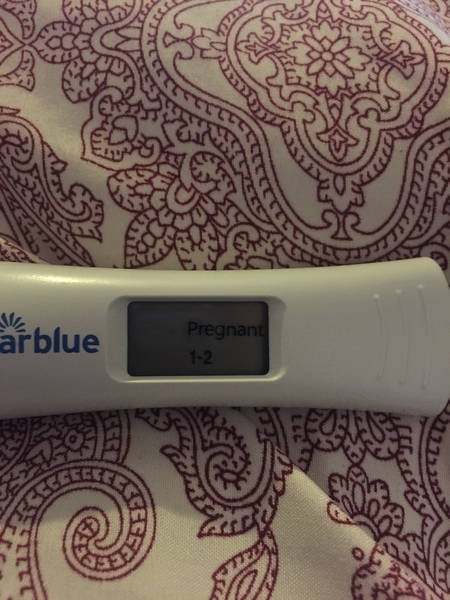 Newly pregnant and so anxious
