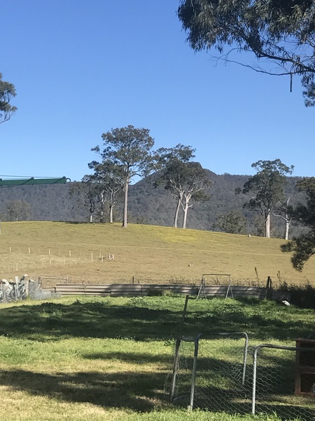 Moving more rural - did you regret it?