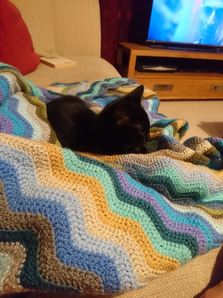 Anyone made the Attic 24 ripple blanket?