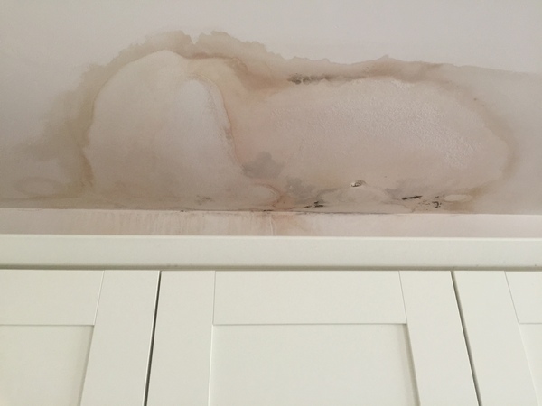 What do I need to do to this ceiling following a leak?