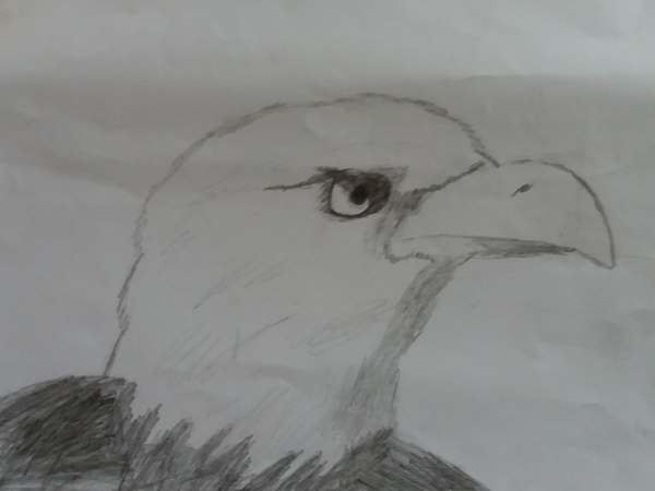 Child aged 5-11 who loves drawing? Enter the BIC® competition