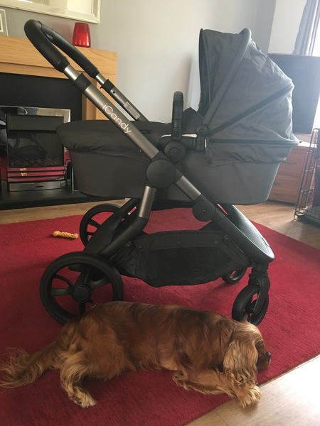 First Time Pregnancy (4)