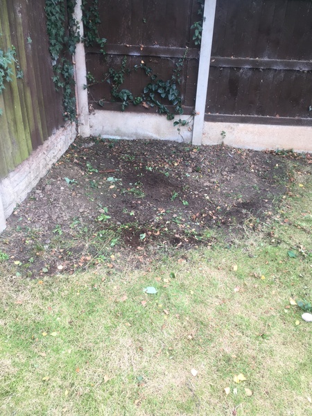What can we do with this? Pic included!
