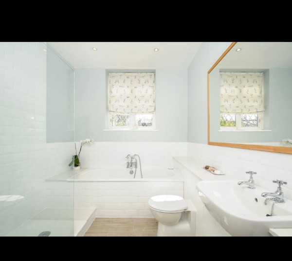 New bathroom - Ideas and Advice