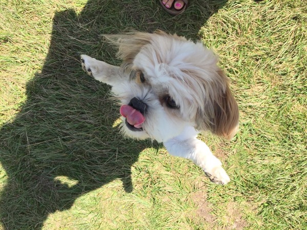 AIBU - You don't bring a toddler to a hen do?