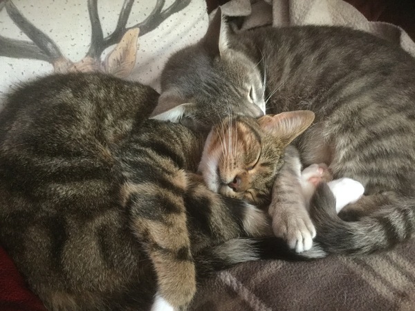 Cute pic alert
