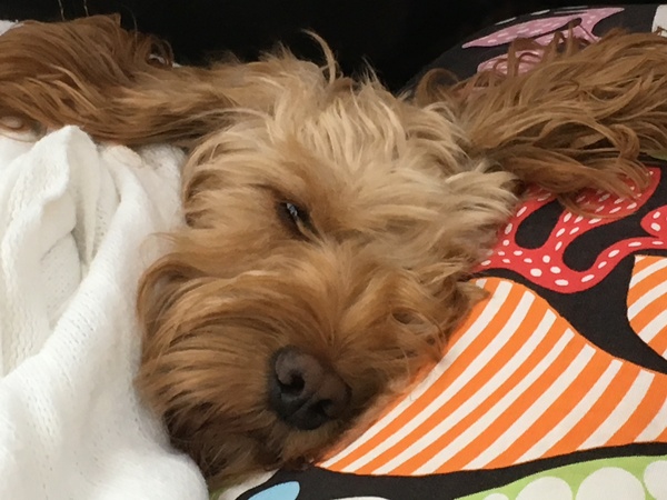 AIBU - You don't bring a toddler to a hen do?