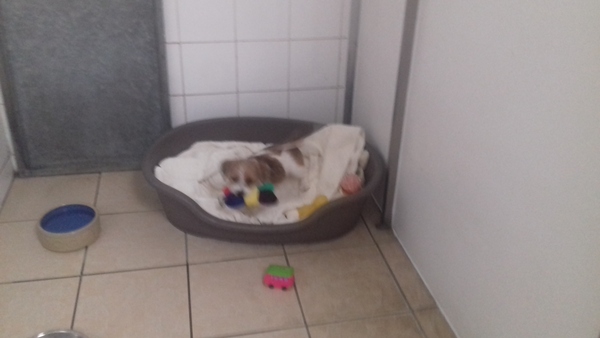 Pre-summer Bootcamp - our last weigh-in!