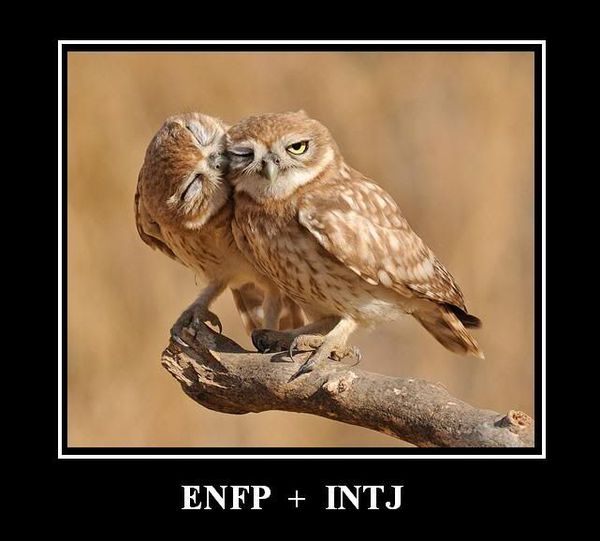 To ask what Myers Briggs type you are?