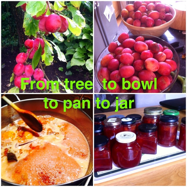 Westminstenders: Russian Chatbots Take Over Brexit Debate