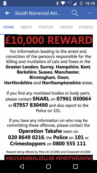 To think that somebody must know the sick evil **** who has been killing people's cats