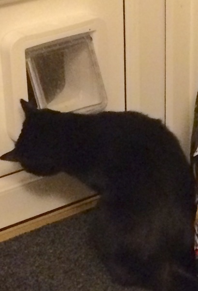 Cat flap issue - can anyone advise on brand compatibility
