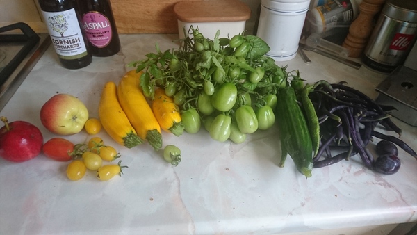 Allotment?Veg Patch Thread 10 - Plotmenters  busy into summer ! and loving James Wong