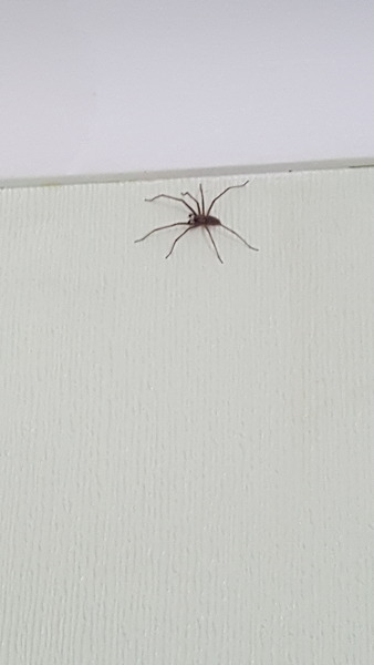 To move out and surrender and sign the house over (light hearted)