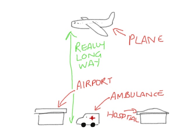 To think they should just ban nuts on all flights