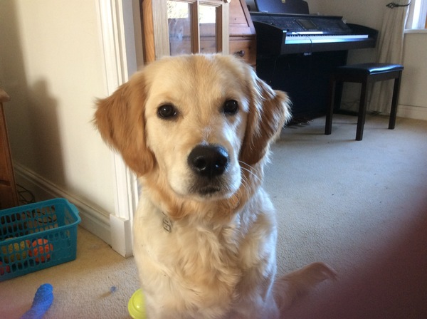 AIBU - You don't bring a toddler to a hen do?