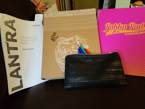 Going back to college -huge mistake
